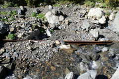 
Leftovevers in the stream bed, Siberia, September 2009